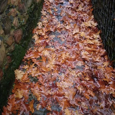 Casa De Gondramaz - Galeria Com Vista Serra Dağ evi