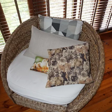 Casa De Gondramaz - Galeria Com Vista Serra Dağ evi Miranda do Corvo