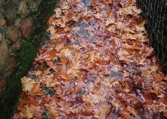 Casa De Gondramaz - Galeria Com Vista Serra Chalé